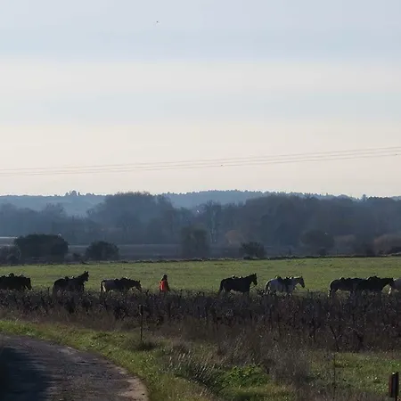 Domaine De Christin Studios-hotel