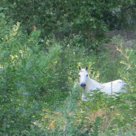 Domaine De Christin Studios-hotel Apartahotel 4*